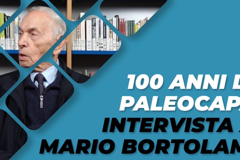 Intervista a Mario Bortolami